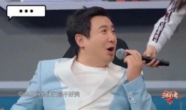 沈腾爆料恋人是谁视频,揭秘神秘恋人身份之谜