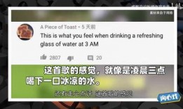 欧洲最新爆料视频大全,揭秘热点事件与幕后真相